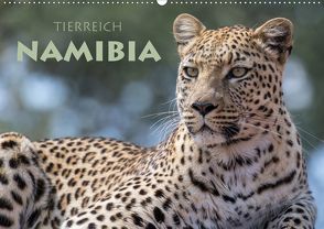 Tierreich Namibia (Wandkalender 2020 DIN A2 quer) von Peyer,  Stephan