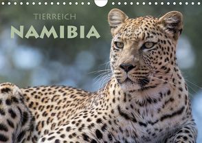 Tierreich Namibia (Wandkalender 2020 DIN A4 quer) von Peyer,  Stephan