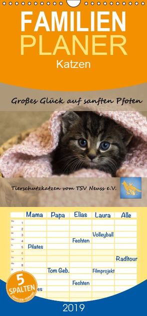 Tierschutzkatzen vom TSV-Neuss – Großes Glück auf sanften Pfoten – Familienplaner hoch (Wandkalender 2019 , 21 cm x 45 cm, hoch) von B,  Jane