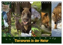 Tierspuren in der Natur (Wandkalender 2024 DIN A4 quer), CALVENDO Monatskalender von Schörkhuber,  Johann