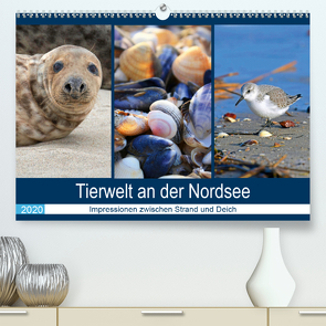 Tierwelt an der Nordsee 2020 (Premium, hochwertiger DIN A2 Wandkalender 2020, Kunstdruck in Hochglanz) von Lehmann (Hrsg.),  Steffani
