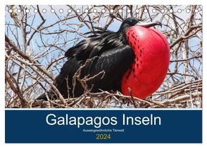 Tierwelt auf Galapagos (Tischkalender 2024 DIN A5 quer), CALVENDO Monatskalender von photography,  IAM