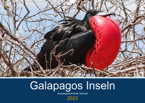 Tierwelt auf Galapagos (Wandkalender 2023 DIN A3 quer) von photography,  IAM