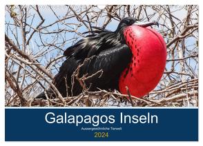 Tierwelt auf Galapagos (Wandkalender 2024 DIN A3 quer), CALVENDO Monatskalender von photography,  IAM