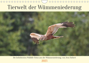 Tierwelt der Wümmeniederung (Wandkalender 2023 DIN A4 quer) von Siebert,  Jens