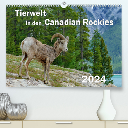Tierwelt in den Canadian Rockies (hochwertiger Premium Wandkalender 2024 DIN A2 quer), Kunstdruck in Hochglanz von Wilczek,  Dieter-M.