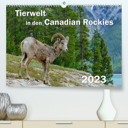 Tierwelt in den Canadian Rockies (Premium, hochwertiger DIN A2 Wandkalender 2023, Kunstdruck in Hochglanz) von Wilczek,  Dieter-M.