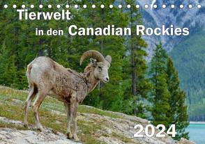Tierwelt in den Canadian Rockies (Tischkalender 2024 DIN A5 quer), CALVENDO Monatskalender von Wilczek,  Dieter-M.