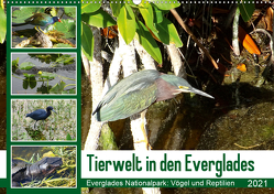 Tierwelt in den Everglades (Wandkalender 2021 DIN A2 quer) von Travelinspired.de