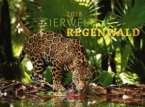 Tierwelt Regenwald 2018