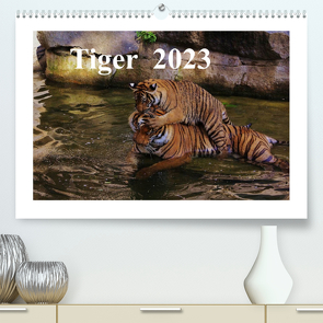 Tiger 2023 (Premium, hochwertiger DIN A2 Wandkalender 2023, Kunstdruck in Hochglanz) von Hennig,  Jörg