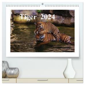 Tiger 2024 (hochwertiger Premium Wandkalender 2024 DIN A2 quer), Kunstdruck in Hochglanz von Hennig,  Jörg