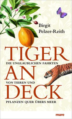 Tiger an Deck von Pelzer-Reith,  Birgit