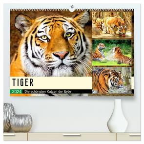 Tiger. Die schönsten Katzen der Erde (hochwertiger Premium Wandkalender 2024 DIN A2 quer), Kunstdruck in Hochglanz von Hurley,  Rose