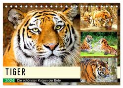 Tiger. Die schönsten Katzen der Erde (Tischkalender 2024 DIN A5 quer), CALVENDO Monatskalender von Hurley,  Rose