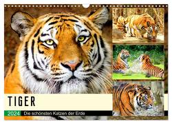Tiger. Die schönsten Katzen der Erde (Wandkalender 2024 DIN A3 quer), CALVENDO Monatskalender von Hurley,  Rose