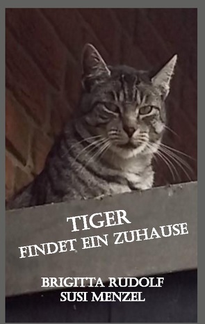 Tiger findet ein Zuhause von Menzel,  Susi, Rudolf,  Brigitta