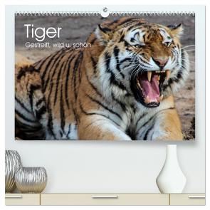 Tiger. Gestreift, wild u. schön (hochwertiger Premium Wandkalender 2024 DIN A2 quer), Kunstdruck in Hochglanz von Stanzer,  Elisabeth