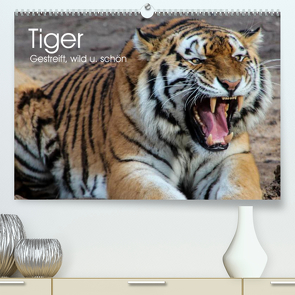 Tiger. Gestreift, wild u. schön (Premium, hochwertiger DIN A2 Wandkalender 2023, Kunstdruck in Hochglanz) von Stanzer,  Elisabeth