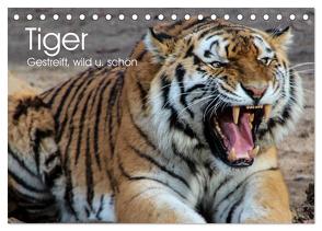 Tiger. Gestreift, wild u. schön (Tischkalender 2024 DIN A5 quer), CALVENDO Monatskalender von Stanzer,  Elisabeth