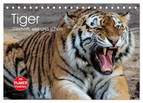 Tiger. Gestreift, wild und schön (Tischkalender 2024 DIN A5 quer), CALVENDO Monatskalender von Stanzer,  Elisabeth