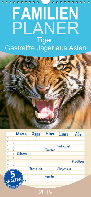 Tiger: Gestreifte Jäger aus Asien – Familienplaner hoch (Wandkalender 2019 , 21 cm x 45 cm, hoch) von CALVENDO
