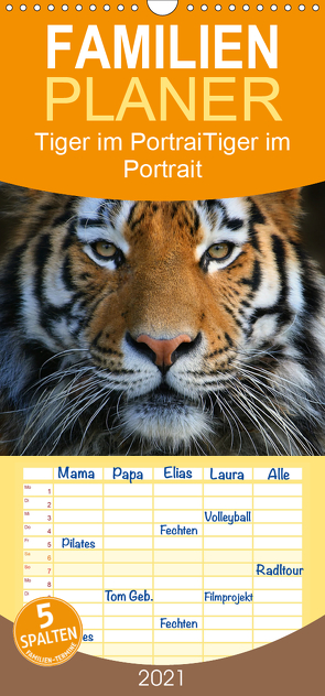 Tiger im Portrait – Familienplaner hoch (Wandkalender 2021 , 21 cm x 45 cm, hoch) von Krone,  Elke