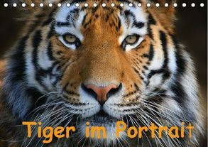 Tiger im Portrait (Tischkalender immerwährend DIN A5 quer) von Krone,  Elke