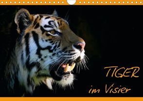 Tiger – im Visier (Posterbuch DIN A4 quer) von Krone,  Elke