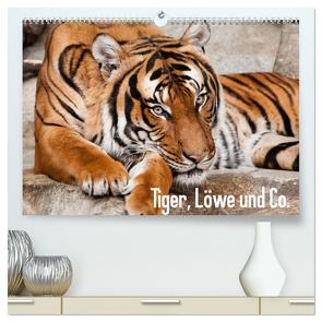 Tiger, Löwe und Co. (hochwertiger Premium Wandkalender 2024 DIN A2 quer), Kunstdruck in Hochglanz von Enderlein - Bethari Bengals,  Sylke