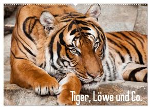 Tiger, Löwe und Co. (Wandkalender 2024 DIN A2 quer), CALVENDO Monatskalender von Enderlein - Bethari Bengals,  Sylke