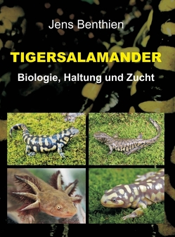 Tigersalamander von Benthien,  Jens