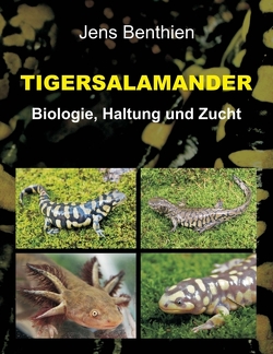 Tigersalamander von Benthien,  Jens