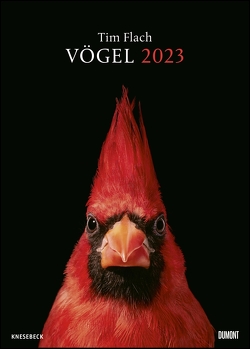 Tim Flach: Vögel 2023 – Posterkalender von DUMONT– Vogel-Porträts von Tim Flach – Poster-Format 50 x 70 cm von Flach,  Tim