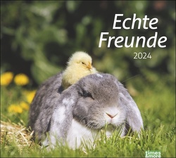 times&more Echte Freunde Bildkalender 2024