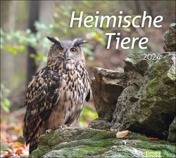 times&more Heimische Tiere Bildkalender 2024