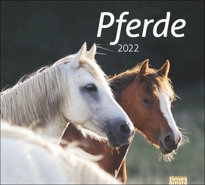 times&more Pferde Bildkalender 2022 von Heye, Stuewer,  Sabine