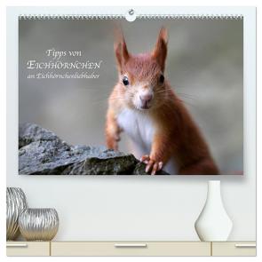 Tipps von Eichhörnchen an Eichhörnchenliebhaber (hochwertiger Premium Wandkalender 2024 DIN A2 quer), Kunstdruck in Hochglanz von Cerny,  Birgit