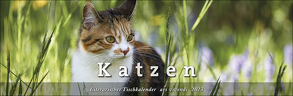 Tischkalender Katzen 2023 von ars vivendi verlag