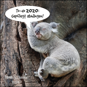 To-do 2020: Gepflegt abhängen! – Lustige Tiere als Broschürenkalender – Wandkalender – mit herausnehmbarem Poster – Format 30 x 30 cm von DUMONT Kalenderverlag