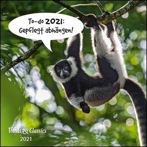 To-do 2021: Gepflegt abhängen! – Lustige Tiere als Broschürenkalender – Wandkalender – mit herausnehmbarem Poster – Format 30 x 30 cm