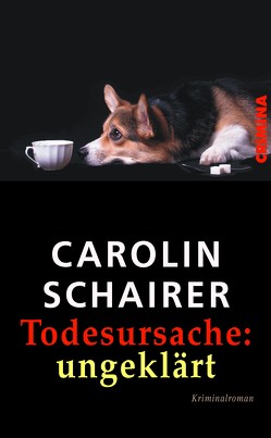 Todesursache: ungeklärt von Schairer,  Carolin