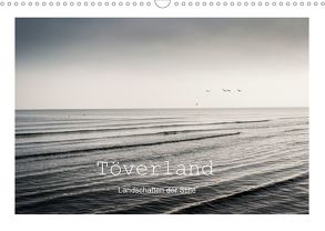 Töverland (Wandkalender 2020 DIN A3 quer) von Stein,  Patricia