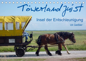 Töwerland Juist (Tischkalender 2022 DIN A5 quer) von Geißler,  Uli