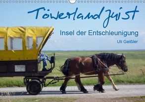 Töwerland Juist (Wandkalender 2019 DIN A3 quer) von Geißler,  Uli