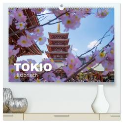 Tokio Kalender mit historischen Tempeln und Schreinen (hochwertiger Premium Wandkalender 2024 DIN A2 quer), Kunstdruck in Hochglanz von Schindler,  Michael