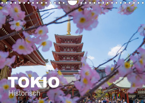 Tokio Kalender mit historischen Tempeln und Schreinen (Wandkalender 2022 DIN A4 quer) von Schindler,  Michael