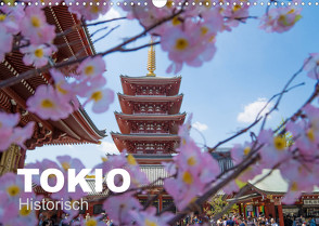 Tokio Kalender mit historischen Tempeln und Schreinen (Wandkalender 2023 DIN A3 quer) von Schindler,  Michael