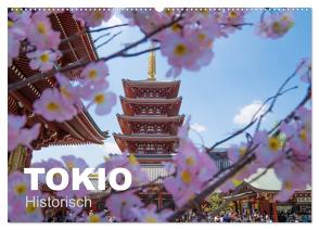 Tokio Kalender mit historischen Tempeln und Schreinen (Wandkalender 2024 DIN A2 quer), CALVENDO Monatskalender von Schindler,  Michael
