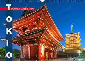 Tokio: Lichter einer Stadt (Wandkalender 2022 DIN A3 quer) von CALVENDO